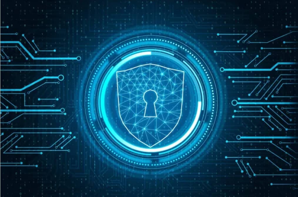 Algeria to Establish National Cyber Security School