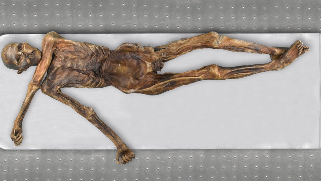 Ötzi the Iceman’s DNA Reveals Surprising Ancestry and Appearance