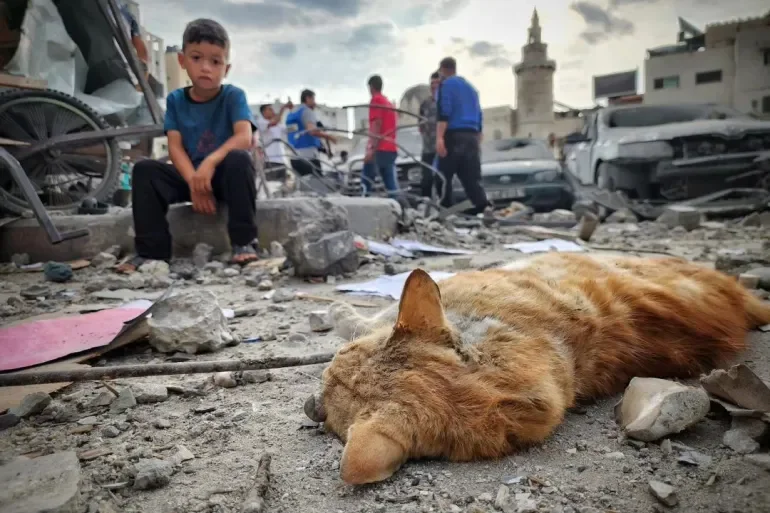 Children in Gaza Pay the Price of Israeli Crimes