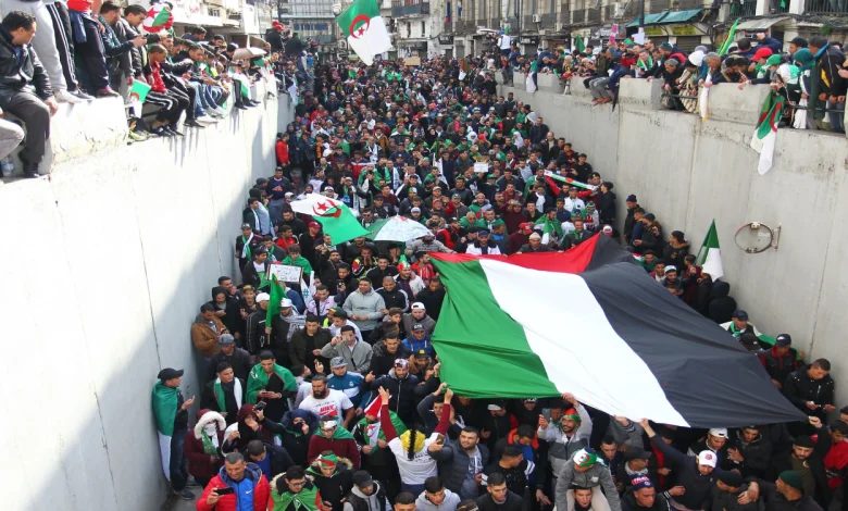 Granting Licenses for Public Demonstrations in Support of the Palestinian Cause (Exclusive)