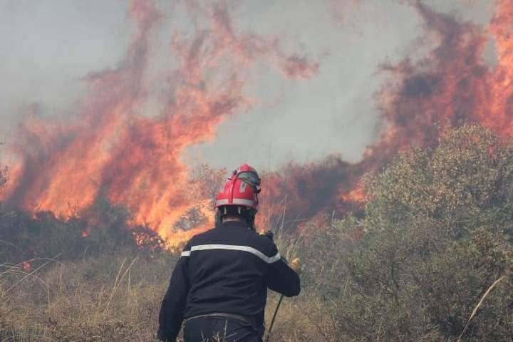 Successful Extinguishing of All Forest Fires Across Four Provinces