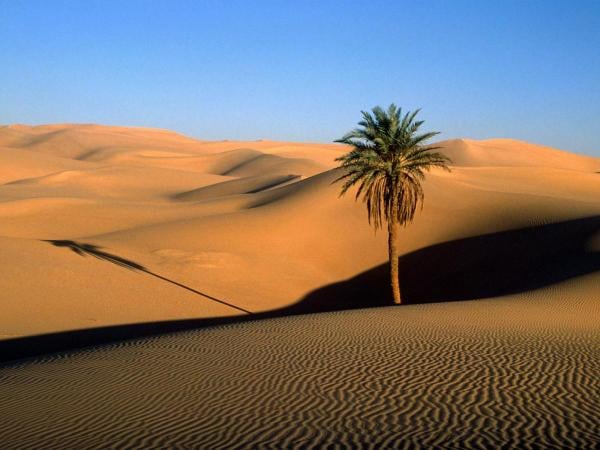Unlocking Algeria’s Economic Potential: Opportunities in the Algerian Sahara