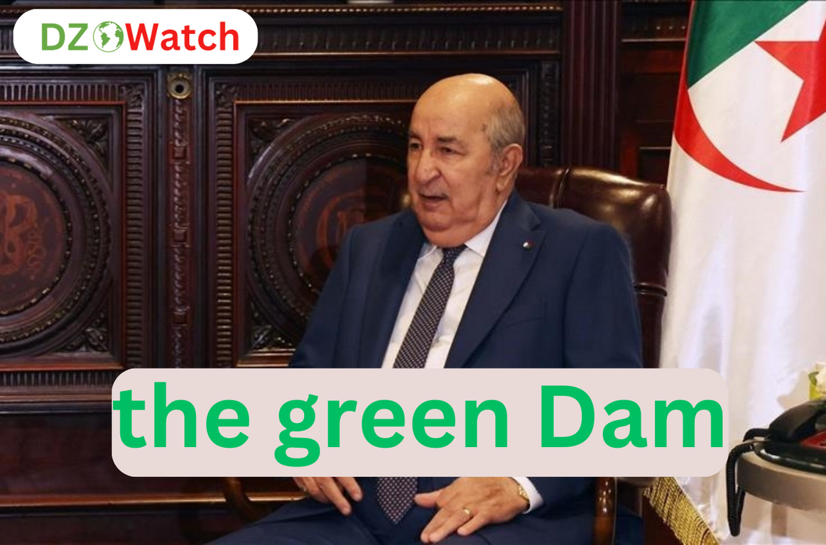 President Tebboune Initiates the Reforestation of 400,000 Hectares as Part of the Green Belt Revival Project