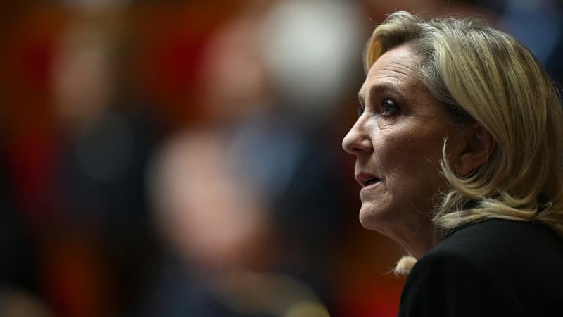 Marine Le Pen Indicates Potential Support for Darmanin’s Immigration Law, Sans Article 3