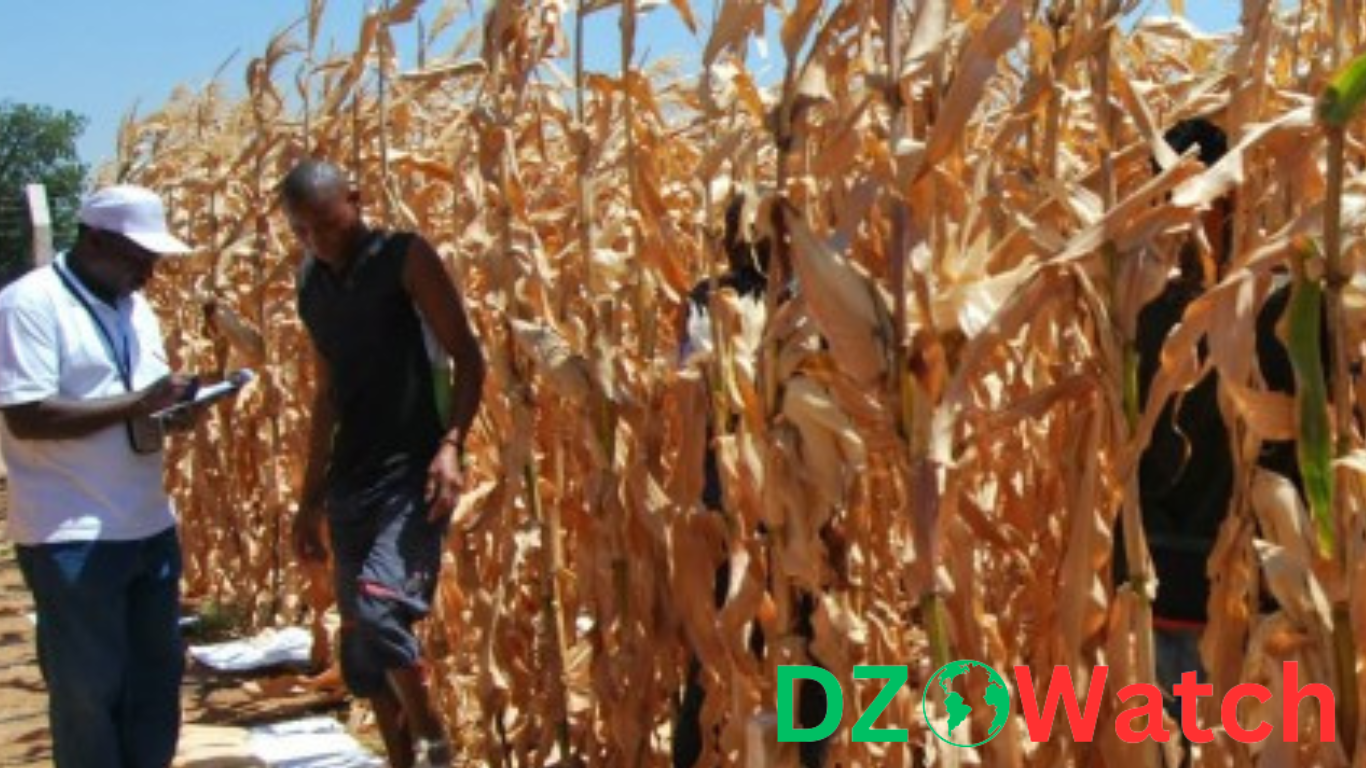 North Africa: Presentation of a Study on Agricultural Market Forecasts in Bari