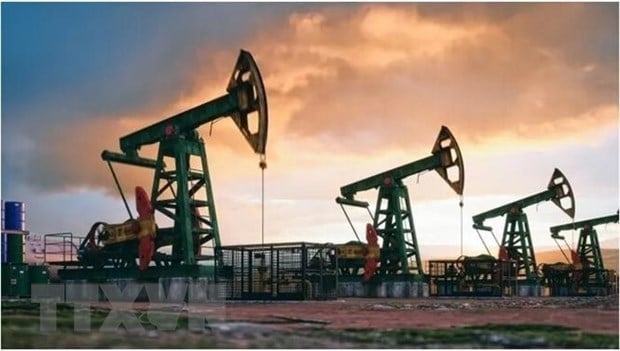 Decline in US Crude Oil Imports from OPEC+ Alters Global Market Dynamics