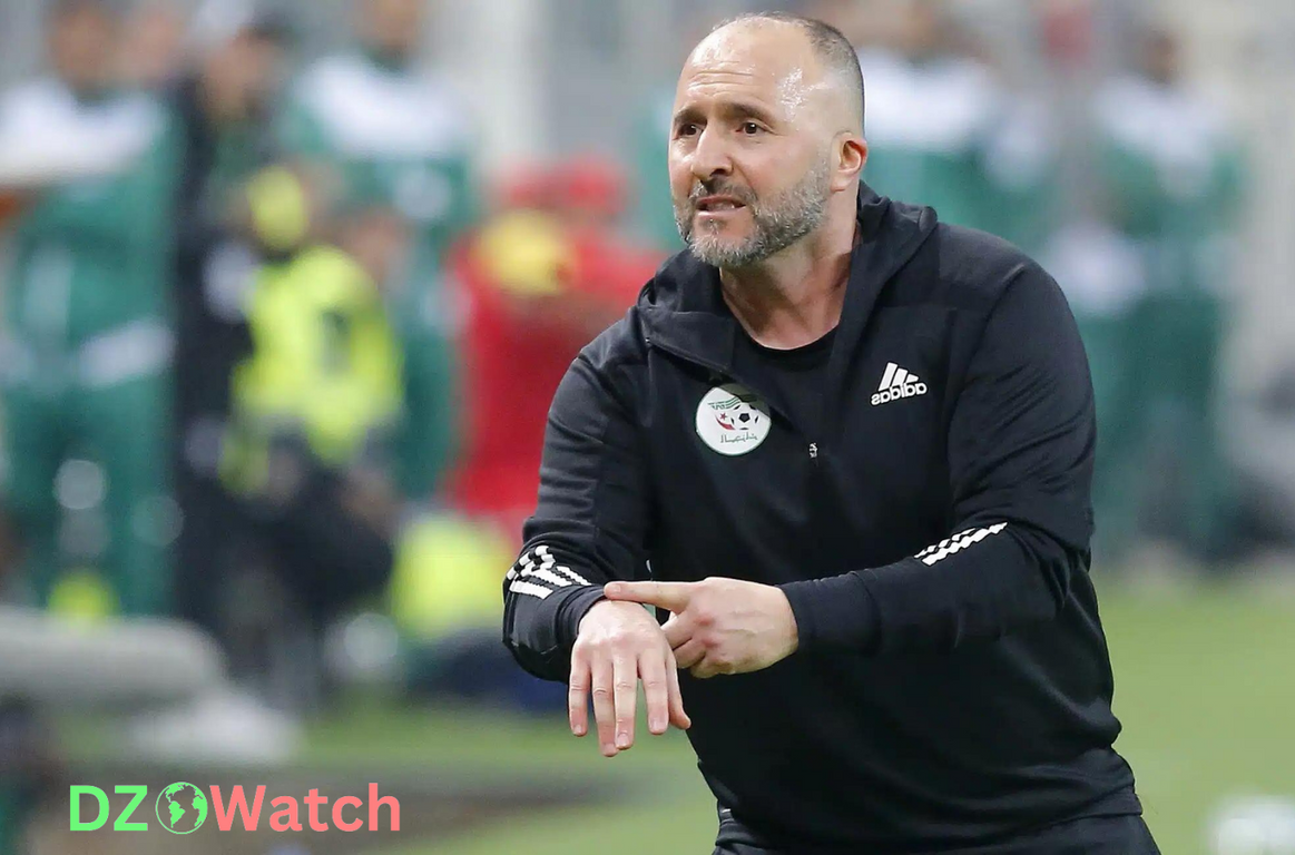 Jamal Belmadi Rejects Lucrative Saudi Offer to Lead Algerian National Team