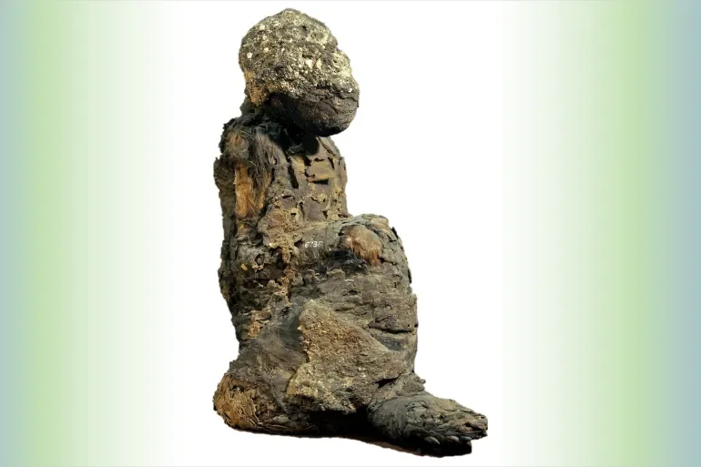 ancient Egyptian mummified baboons