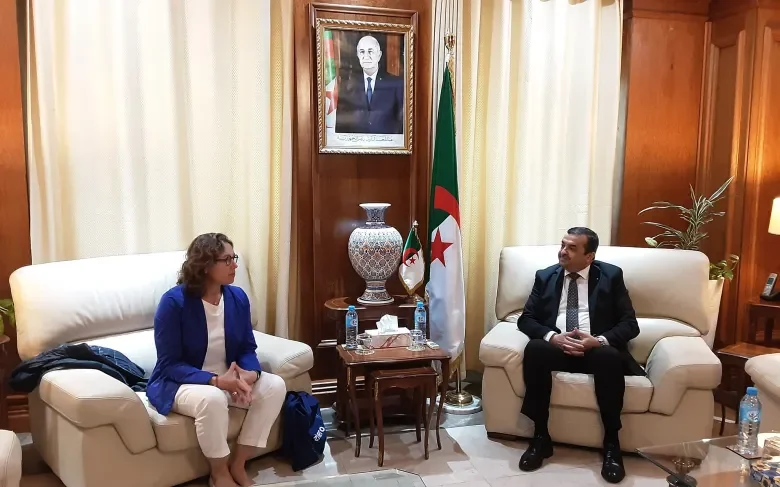 Italian Firm Proposes Green Energy Project in Algeria