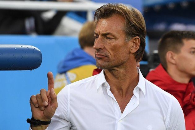 Hervé Renard, shared his thoughts on being considered by Algerians to lead the national team