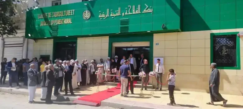 BADR Bank Financing and Electronic Services