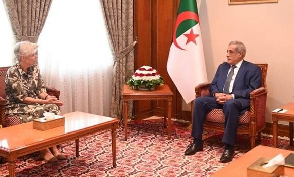 Prime Minister Receives Ambassador of the Kingdom of the Netherlands to Algeria