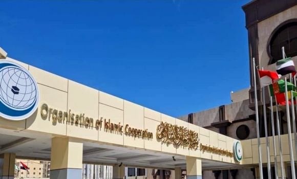 OIC Urges UN Security Council to Halt Israeli Aggression Against Palestinians
