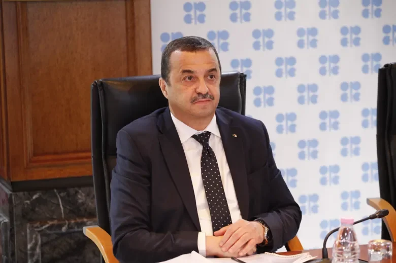 Minister of Energy on a Working Visit to Niger