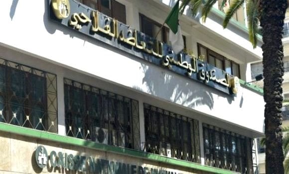 Insurance Sector: Strategic Partnership Agreement Signed Between the National Agricultural Cooperation Fund and the Association of Contractors and Industrialists