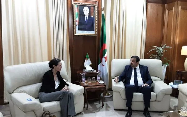 UNDP Aims to Strengthen Cooperation with Algeria on Energy Transition and Renewable Energy
