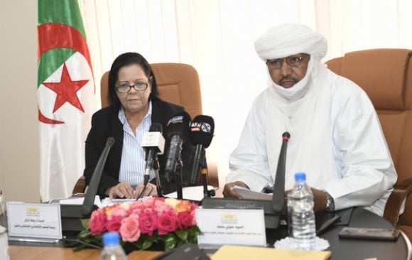 National Economic, Social, and Environmental Council: Launch of a Strategic Study on Algeria’s Economy by 2062