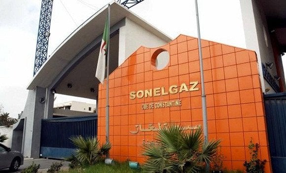 Sonelgaz Dispatches Team to Niger to Draft Cooperation Agreement with Nigelec