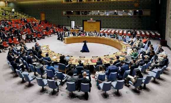 Algeria Calls for Security Council Consultations on UNRWA’s Situation in Occupied Palestinian Territories