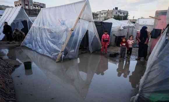 Gaza Civil Defense: Over 1,500 Shelters Flooded by Torrential Rain