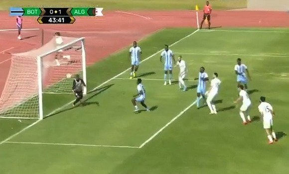 2026 World Cup Qualifiers / Botswana-Algeria (1-3): Valuable and Important Win for the National Team