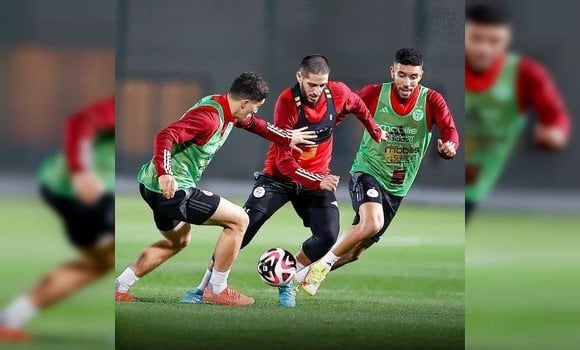 2026 World Cup Qualifiers: Algeria Intensifies Training Ahead of Crucial Clash Against Mozambique