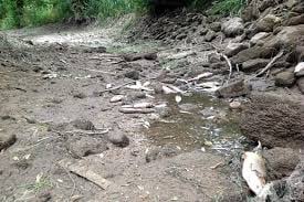 Béchar Hosts International Water Conference A Desert Cry for Life and Shared Survival