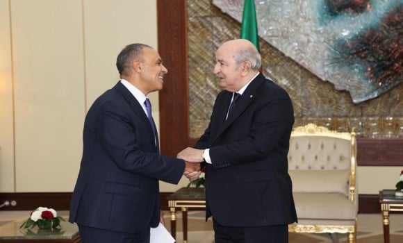 President of the Republic Receives Egyptian Foreign Minister