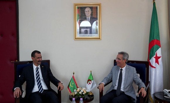 Minister of Culture and Arts Discusses Ways to Expand Cultural Cooperation Horizons with Mauritanian Counterpart