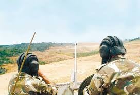 Algerian Armed Forces Neutralize Threat, Reinforce National Security