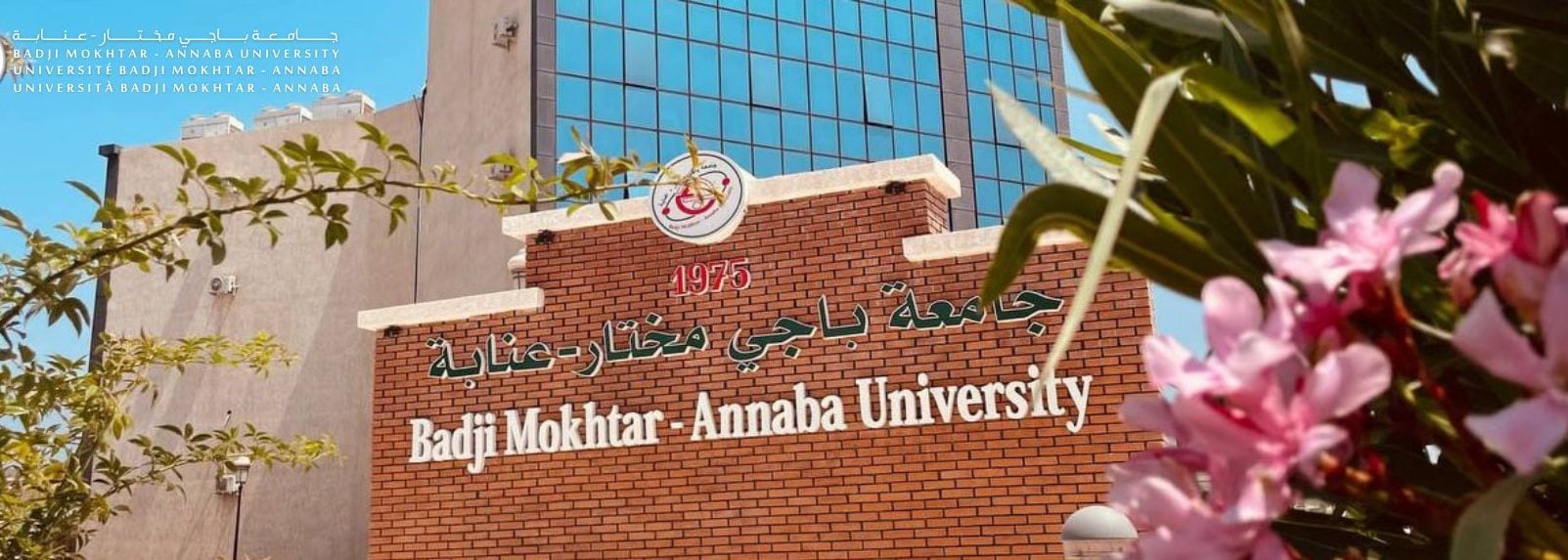 Algeria Tops Arab World in QS University Rankings 2026!