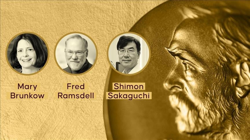 Nobel Prize in Medicine 2025 Awarded for Immune System Breakthroughs