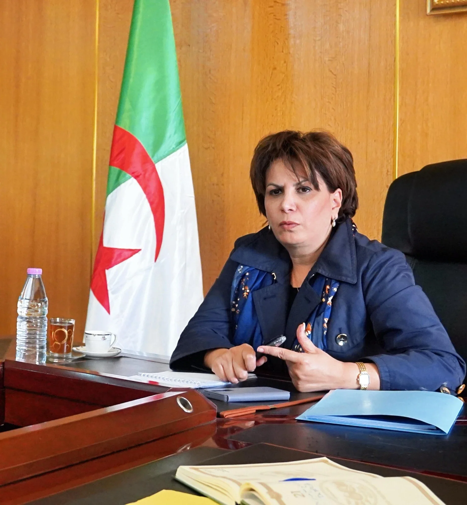 Algeria Boosts Culture: Festival Review & Arts Funding Update