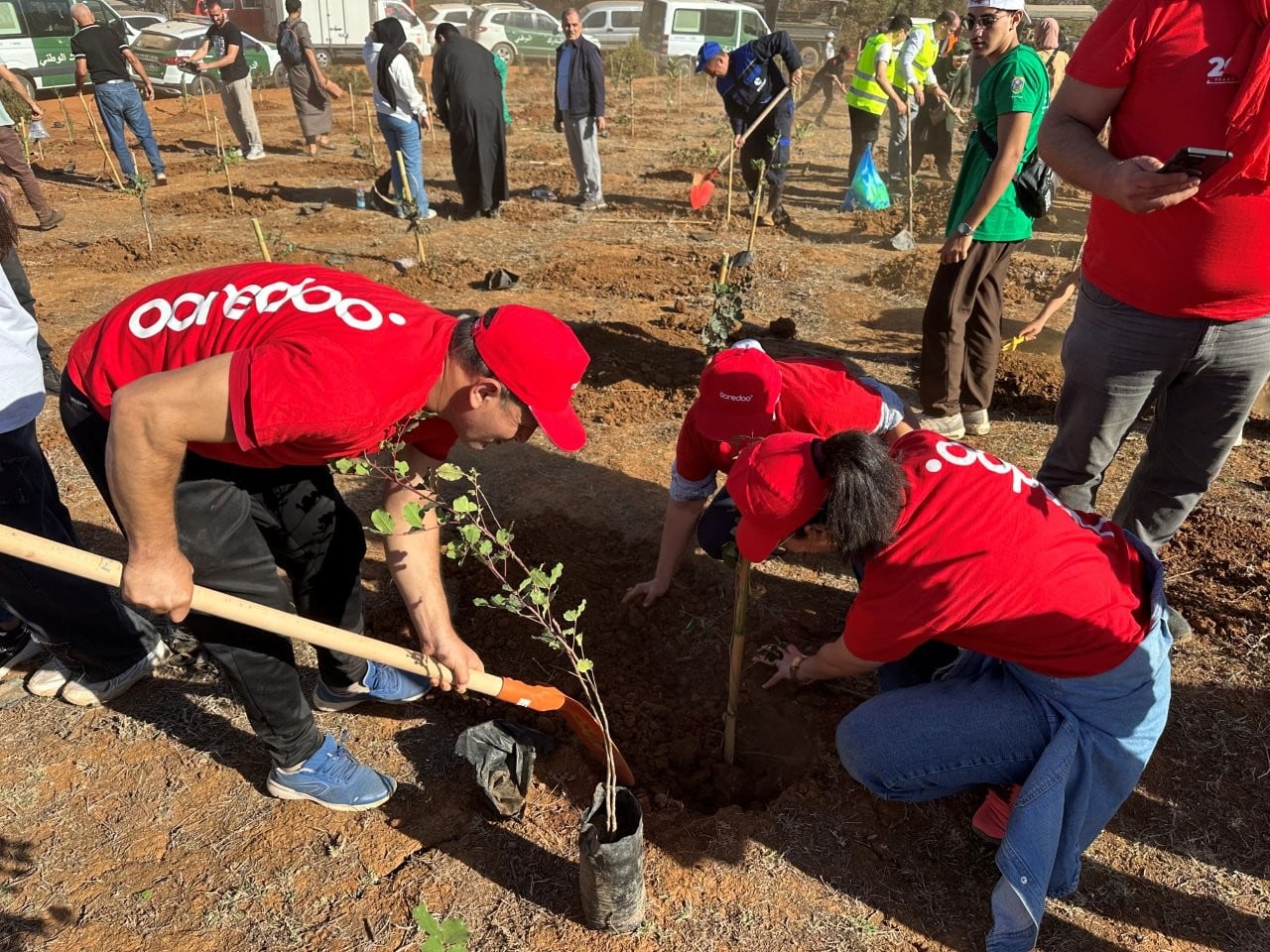 Ooredoo Joins Nationwide Reforestation Effort in Algeria