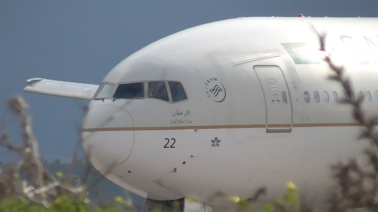 Bird Strike Grounds Saudi Airlines Flight at Algiers Airport, Passengers Face Delays