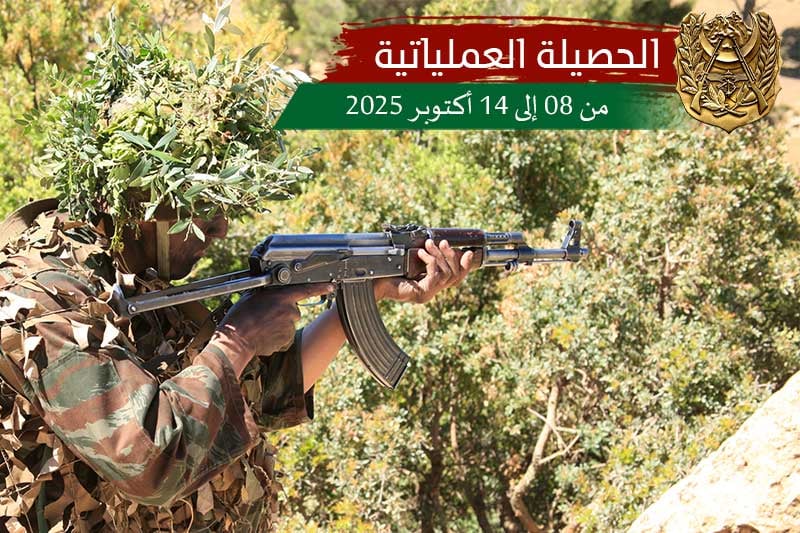 Algerian Army Eliminates Terrorist, Arrests 5 Support Elements