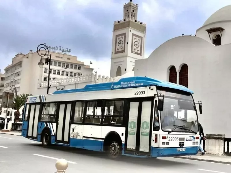 ETUSA Launches New Bus Route Connecting Algiers Neighborhoods, Improving Commuter Access