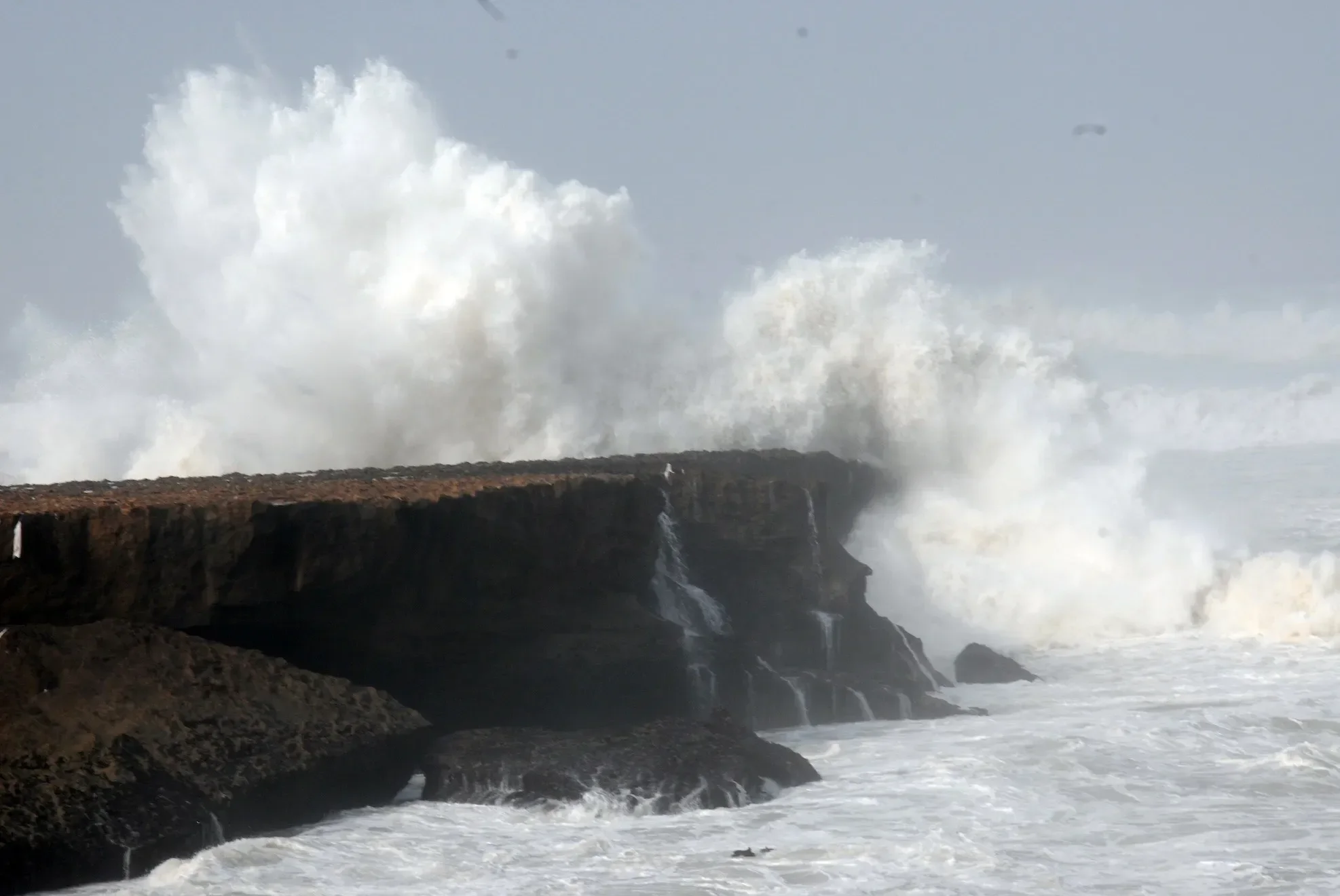 Strong Winds & High Waves Alert Issued for Algerian Coast