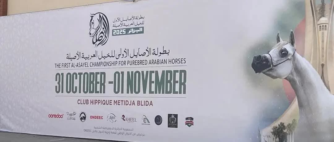 Ooredoo Sponsors National Arabian Horse Competition