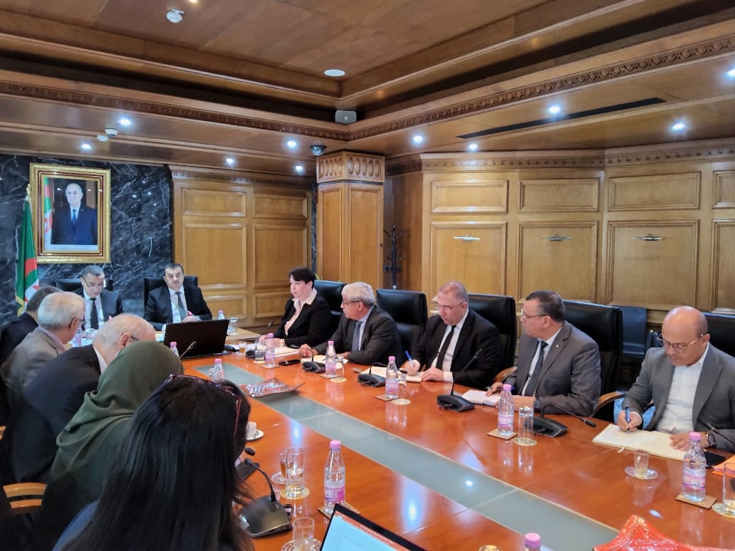 Algeria Boosts Lithium Development with Inter-Ministerial Coordination