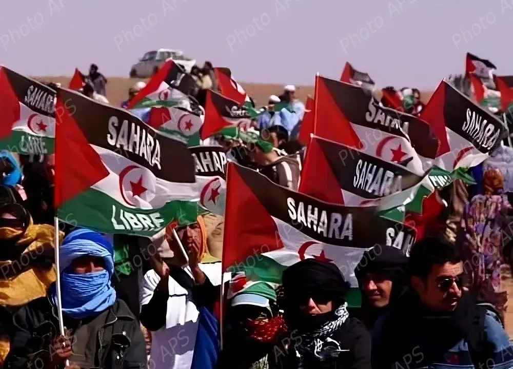 Western Sahara Issue Gains Prominence in International Media