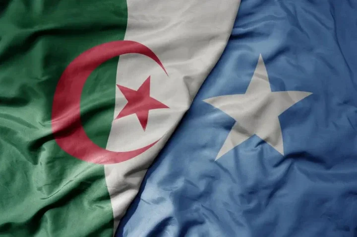 Algeria and Somalia Forge Stronger Ties Through Renewed Cooperation