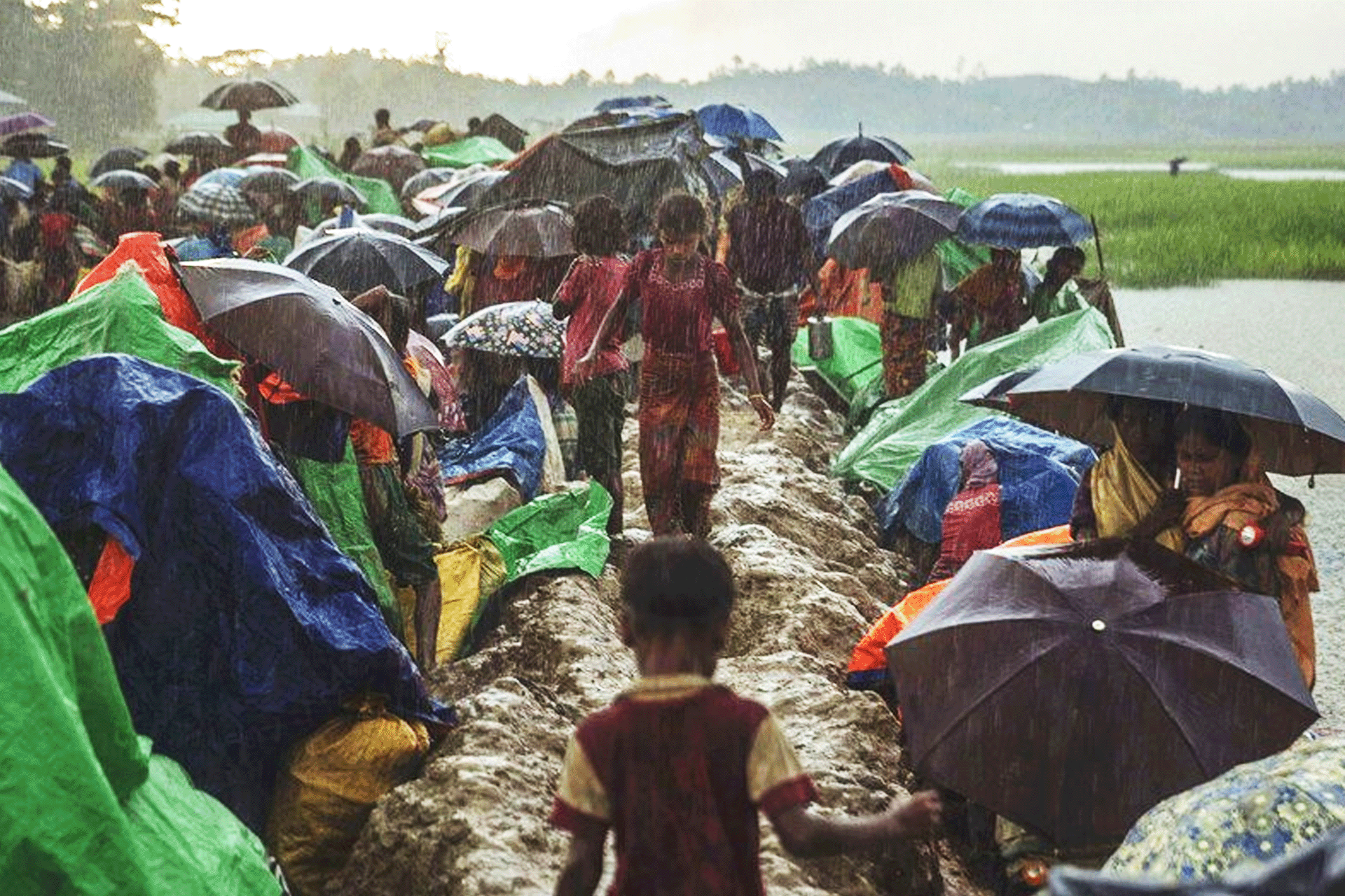 Climate Disasters Displace 70,000 Daily: UN Report