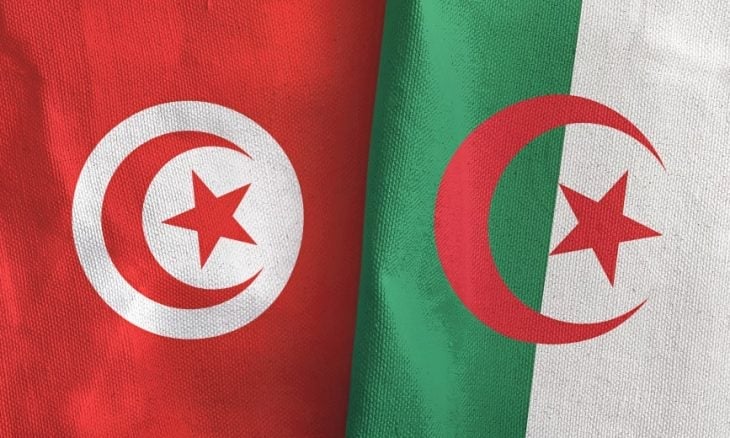 Tunisian Defense Minister: Military Ties with Algeria a Strategic Choice