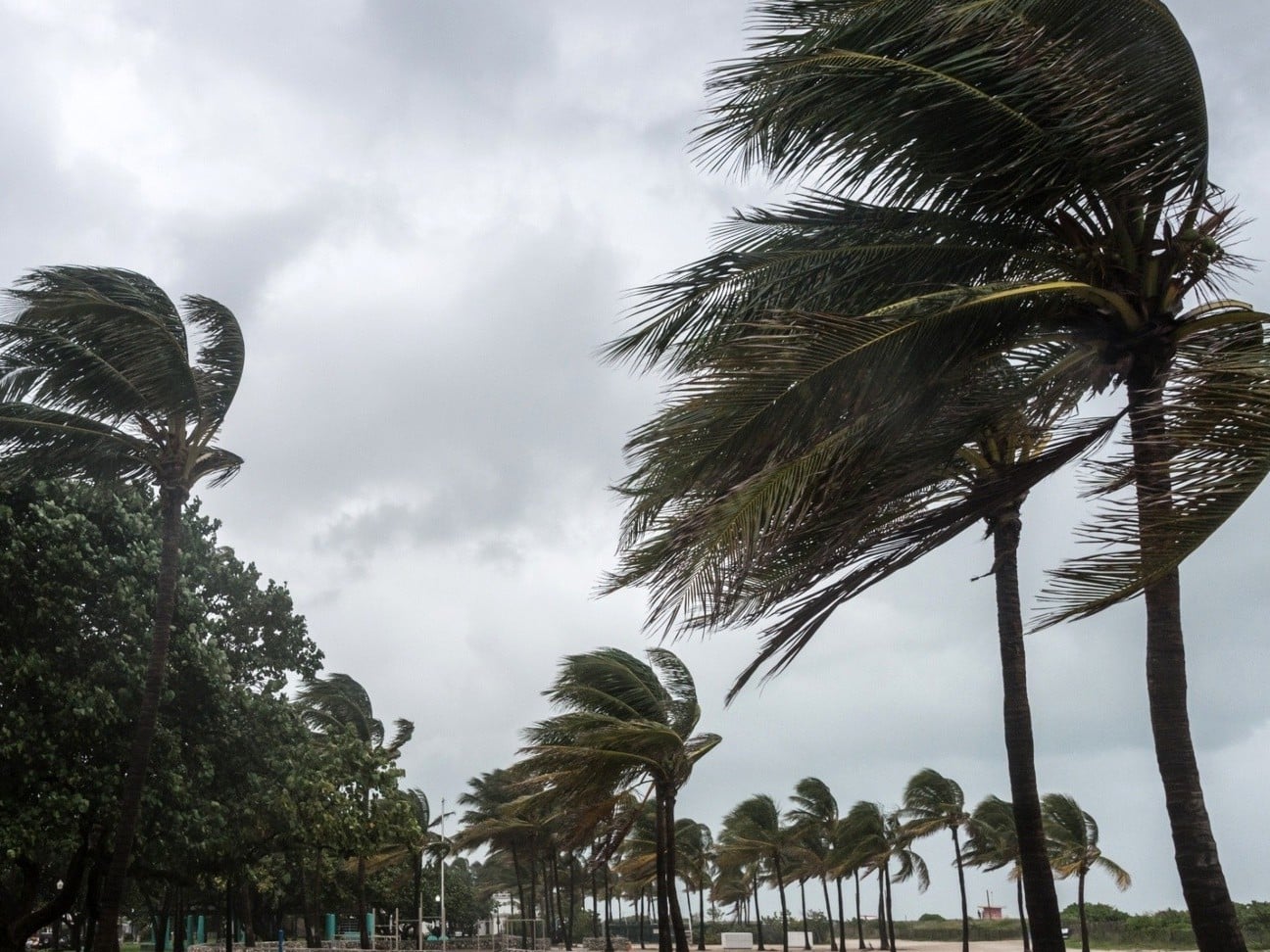 Strong Winds Forecast for Several Coastal Regions of Algeria