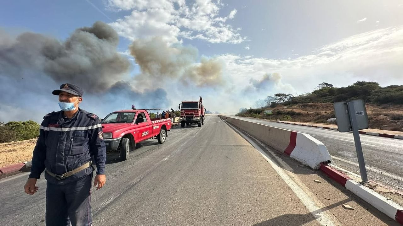 Efforts Intensify to Combat Bourahma Forest Fire in Mostaganem