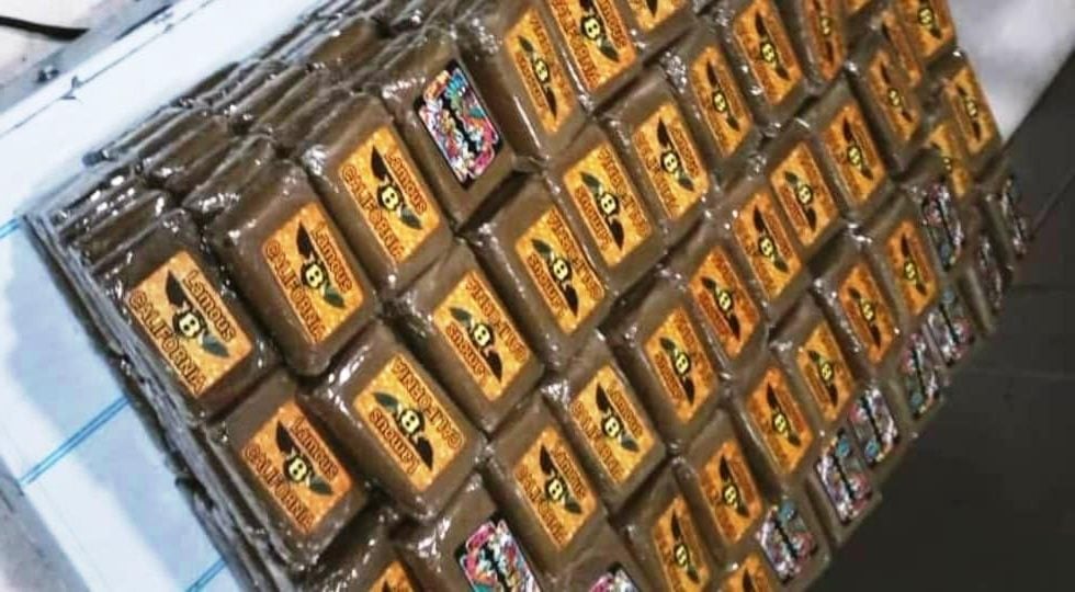 Authorities Foil Major Drug Smuggling Attempt in Setif