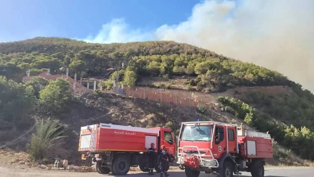 Firefighters Battle Blaze in Tipaza’s Arhat Forest