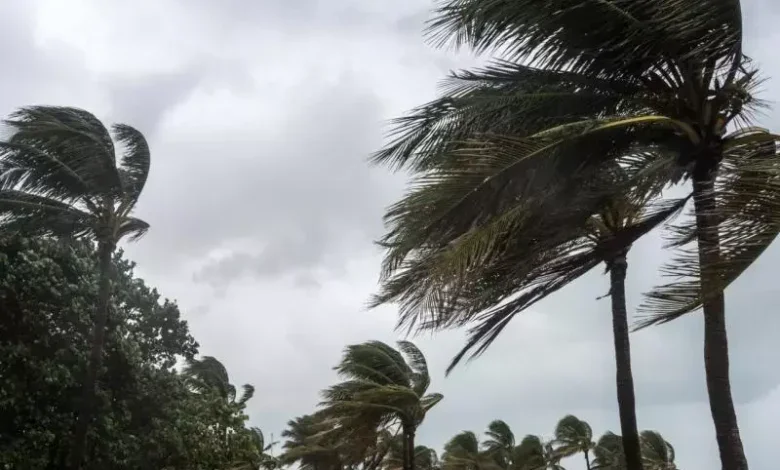 Strong Winds Expected to Hit Central Algeria Tonight