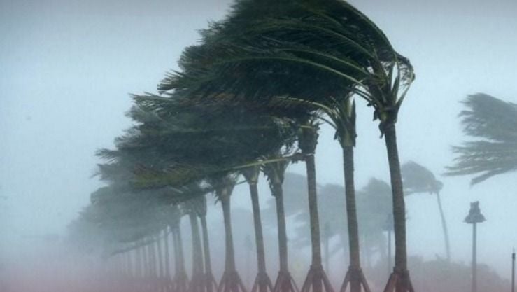 Strong Winds Expected to Hit Central Coastal Regions